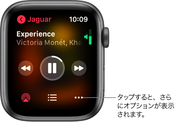 Apple Watchで音楽を再生する Apple サポート