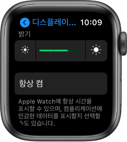 상단에 밝기 슬라이더와 아래에 항상 켬 버튼이 있는 Apple Watch의 밝기 설정.