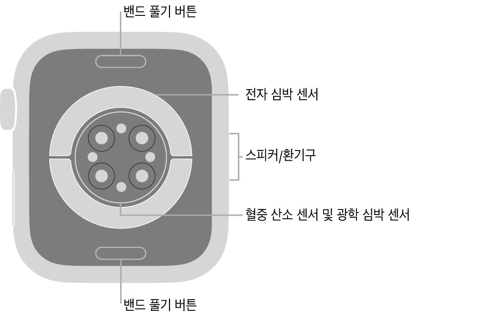 상단과 하단의 밴드 풀기 버튼, 중앙의 전자 심장 센서와 광학 심장 센서와 혈중 산소 센서, 측면의 스피커/환기구가 보이는 Apple Watch Series 6의 후면.