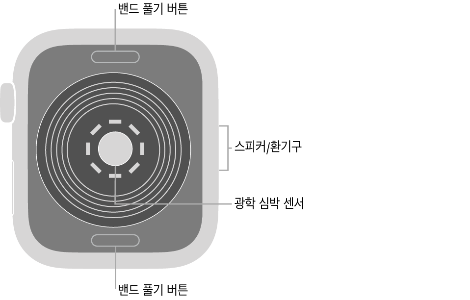 상단과 하단의 밴드 풀기 버튼, 중앙의 광학 심장 센서, 측면의 스피커/환기구가 보이는 Apple Watch SE의 후면.