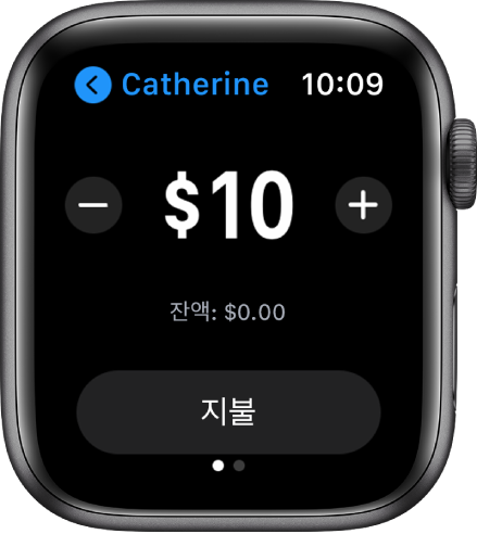 Apple Cash로 결제할 준비가 되어 있음을 표시하는 메시지 앱 화면. 상단에 1달러가 표시되어 있고, 빼기 및 더하기 버튼이 양쪽에 나타남. 현재 잔액이 아래에 표시되며, 송금 버튼이 하단에 있음.