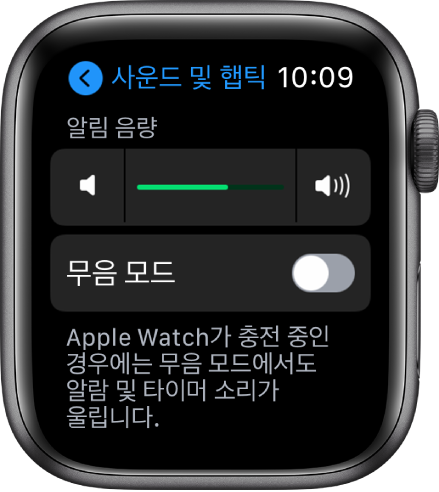 Apple Watch의 사운드 및 햅틱 설정. 상단에는 알림 음량 슬라이더, 하단에는 무음 모드 버튼이 있음.