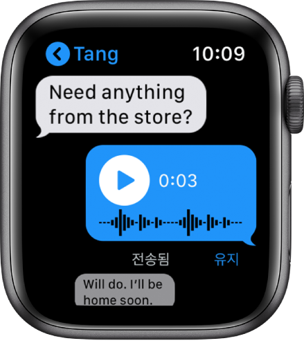 대화가 표시된 메시지 화면. 가운데 답장은 재생 버튼이 있는 오디오 메시지임.
