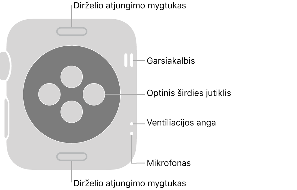 „Apple Watch Series 3“ galinė pusė, dirželio atjungimo mygtukai viršuje ir apačioje, optiniai širdies jutikliai viduryje ir garsiakalbis, ventiliacijos angos bei mikrofonas nuo viršaus iki apačios netoli šono.