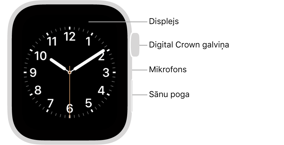 Apple Watch Series 6 pulksteņa priekšpuse ar displeju, kurā redzama ciparnīca, un Digital Crown galviņa, mikrofons un sānu poga no augšas uz leju pulksteņa sānā.
