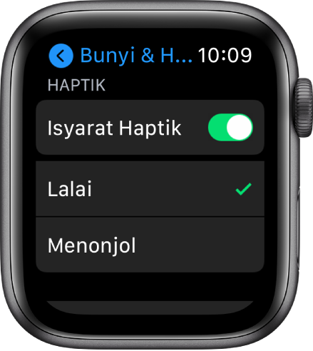 Seting Bunyi & Haptik pada Apple Watch, dengan suis Isyarat Haptik dan pilihan Lalai dan Utama di bawahnya.