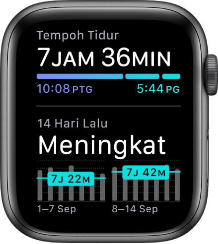 App Tidur pada Apple Watch menunjukkan masa tidur di bahagian atas dan aliran tidur anda untuk 14 hari yang lalu.