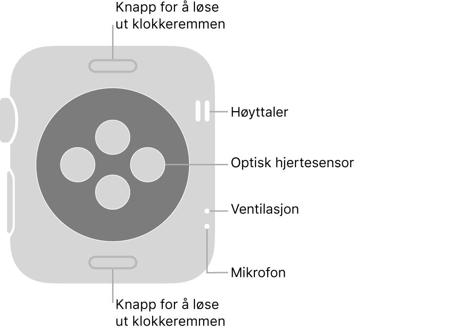 Baksiden av Apple Watch Series 3, med remutløserknappene øverst og nederst, de optiske pulssensorene i midten og høyttaleren, luftventilen og mikrofonen fra øverst til nederst nær siden.
