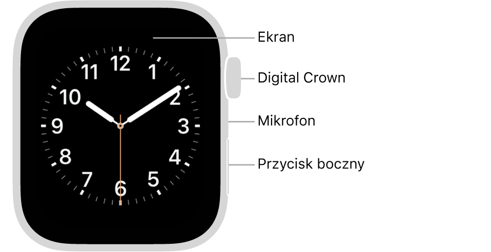 Apple Watch SE widziany z przodu. Na ekranie wyświetlana jest tarcza zegarka. Z boku, od góry, znajdują się: Digital Crown, mikrofon oraz przycisk boczny.