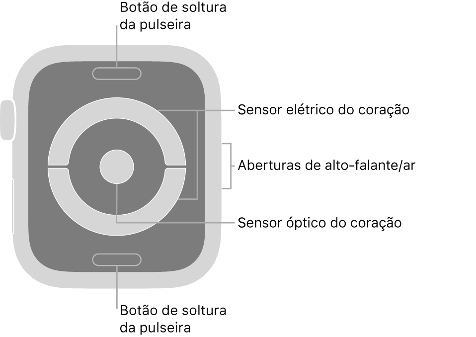 A parte traseira do Apple Watch Series 4 e Apple Watch Series 5, com os botões para soltar a pulseira na parte superior e inferior, os sensores elétricos cardíacos e o sensor óptico cardíaco no meio e alto-falante/saídas de ar na lateral.