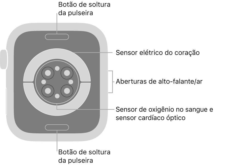 A parte traseira do Apple Watch Series 6, com os botões para soltar a pulseira na parte superior e inferior, os sensores elétricos cardíacos, os sensores ópticos cardíacos e os sensores de oxigênio no sangue no meio e alto-falante/saídas de ar na lateral.