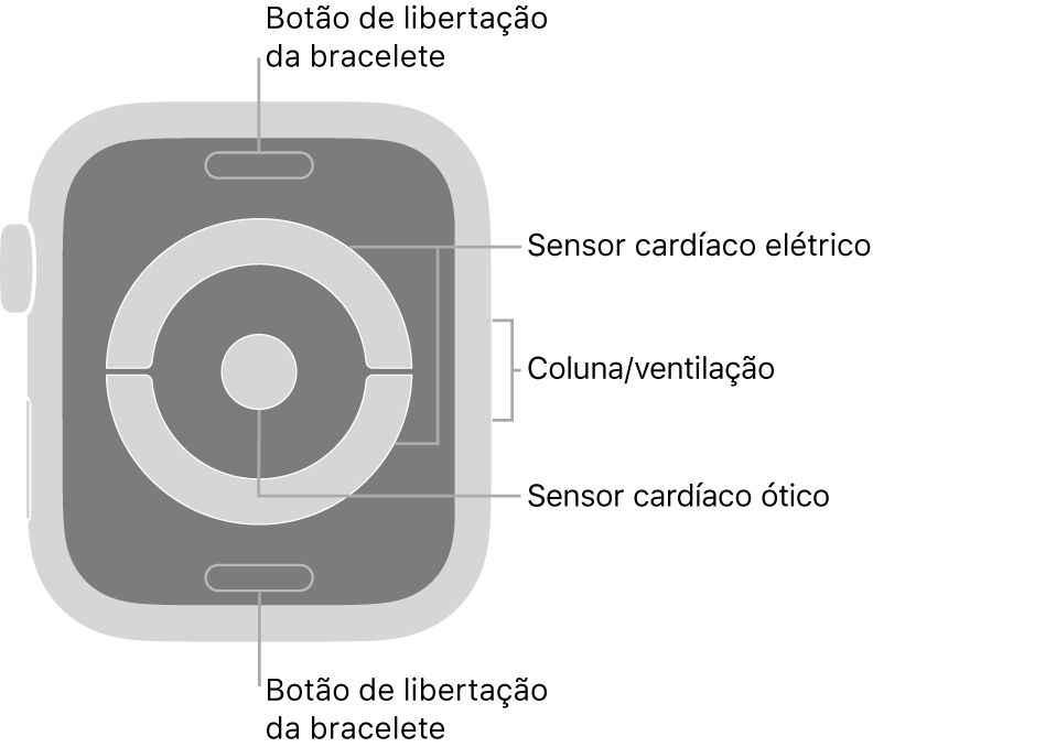 Apple Watch Series 4 e Apple Watch Series 5 visto de trás, com os botões de libertação da bracelete na parte superior e na parte inferior, os sensores cardíacos elétricos e o sensor cardíaco ótico ao meio, e a coluna/ventilação na parte lateral do relógio.