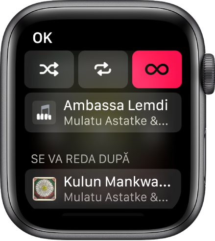 Fereastra listei de piste, afișând butoanele Aleatoriu, Repetare și Auto-redare în partea de sus și o pistă imediat dedesubt. În apropierea părții de jos, o altă pistă apare sub În continuare.