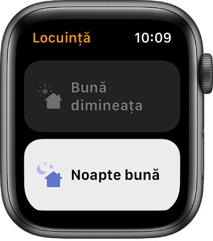 Aplicația Locuință de pe Apple Watch afișând două scenarii: Bună dimineața și Noapte bună. Scenariul Noapte bună este evidențiat.