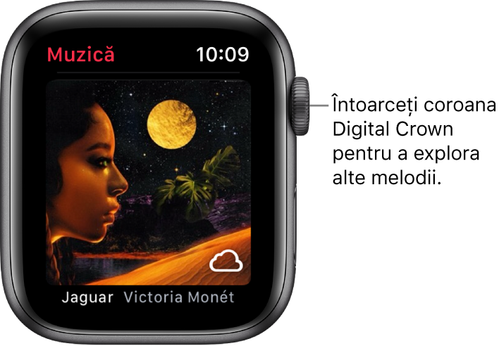 Ecran prezentând un album și ilustrația sa în aplicația Muzică.