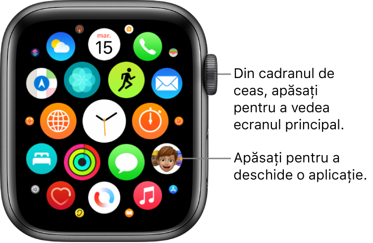 Ecranul principal în vizualizarea grilă pe Apple Watch, cu aplicațiile sub formă de grup. Apăsați pe o aplicație pentru a o deschide. Trageți pentru a vedea mai multe aplicații.