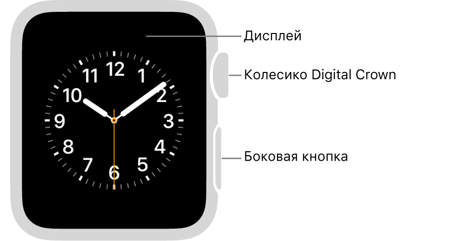 Лицевая сторона Apple Watch Series 3. На дисплее показан циферблат. Сбоку часов показаны колесико Digital Crown и боковая кнопка.