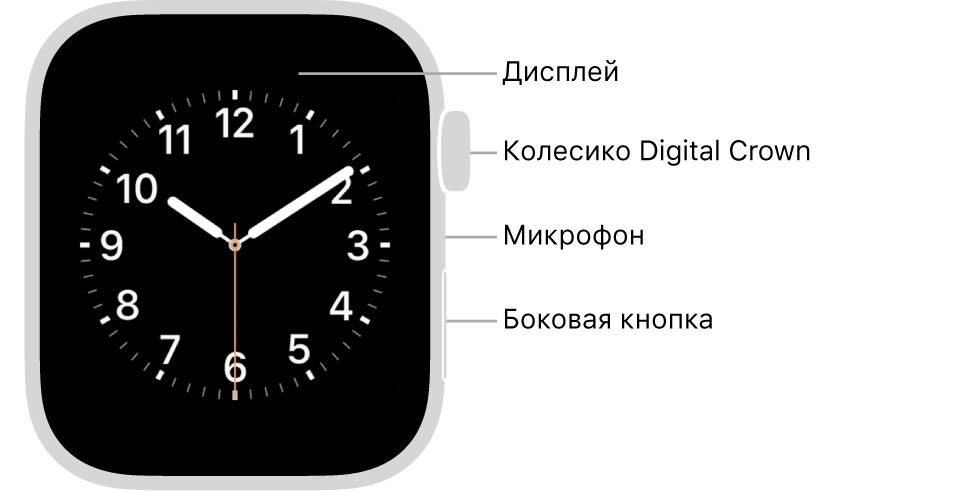 Лицевая сторона Apple Watch Series 6. На дисплее показан циферблат. Сбоку на корпусе часов показаны (сверху вниз): колесико Digital Crown, микрофон и боковая кнопка.