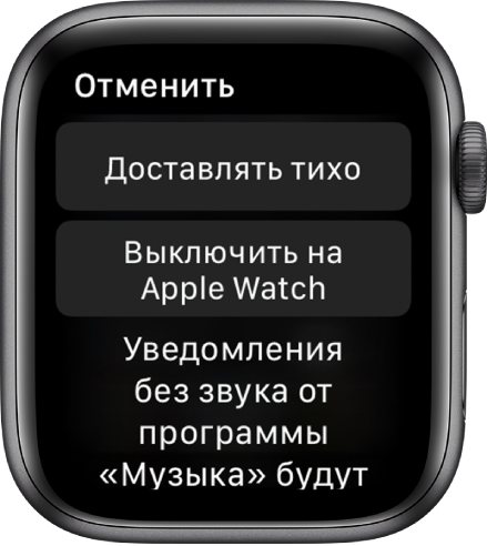 Настройки уведомлений на Apple Watch. На верхней кнопке написано «Доставлять тихо», на нижней — «Отключить на Apple Watch».