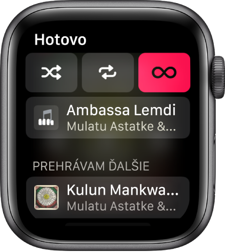 Okno so zoznamom stôp zobrazujúce tlačidlá Zamiešať, Opakovať a Automatické prehrávanie v hornej časti a jednu stopu priamo pod nimi. Naspodku sa pod nápisom Prehrávam ďalšie zobrazuje ďalšia stopa.