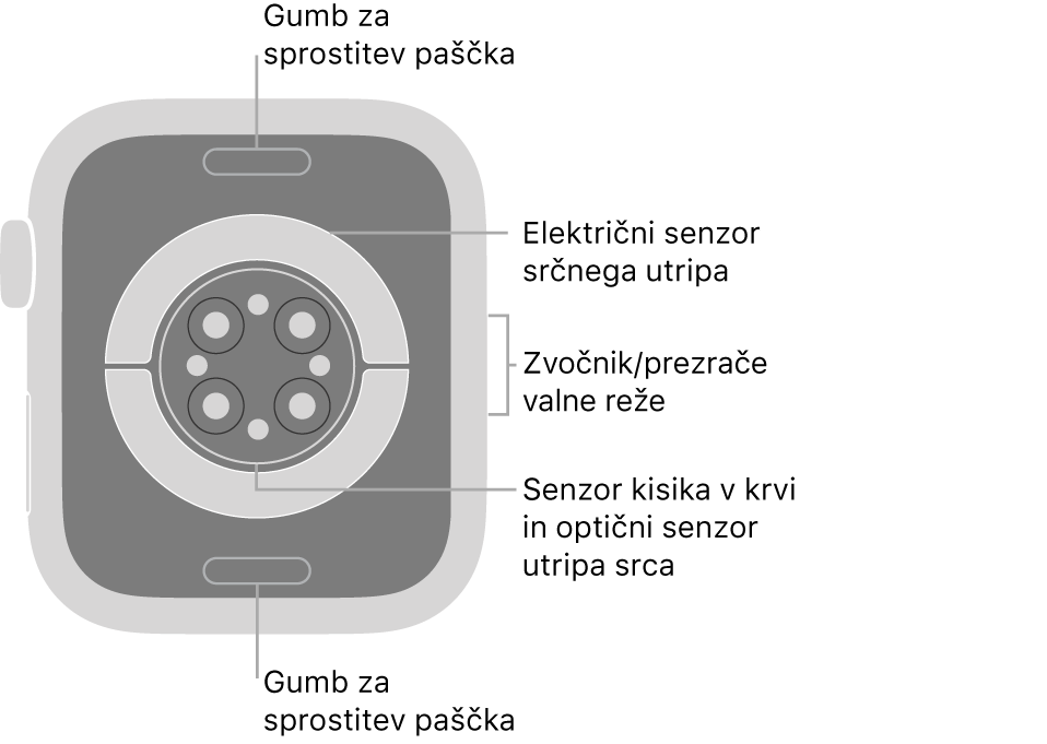 Zadnji del ure Apple Watch Series 6 z gumboma za sprostitev paščka zgoraj in spodaj, električnim senzorjem srčnega utripa, optičnimi senzorji srčnega utripa in senzorji kisika v krvi v sredini ter zvočnikom/zračniki na strani.
