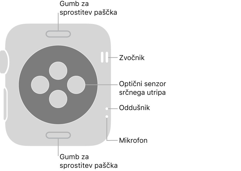 Zadnji del ure Apple Watch Series 3 z gumboma za sprostitev paščka zgoraj in spodaj, optičnim senzorjem srčnega utripa v sredini in zvočnikom, zračnikom in mikrofonom od zgoraj navzdol ob strani.