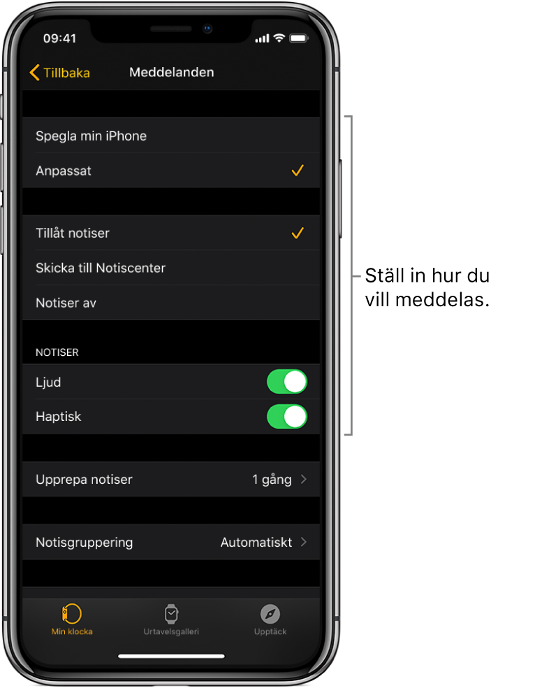 Meddelandeinställningar i Apple Watch-appen på iPhone. Du kan välja om notiser ska visas, slå på ljudet, slå på haptik och upprepa notiser.