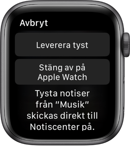 Notisinställningar på Apple Watch. På översta knappen står det Leverera tyst och på knappen under står det Stäng av på Apple Watch.