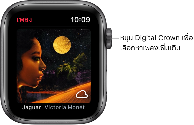 หน้าจอที่แสดงอัลบั้มและภาพปกในแอพเพลง