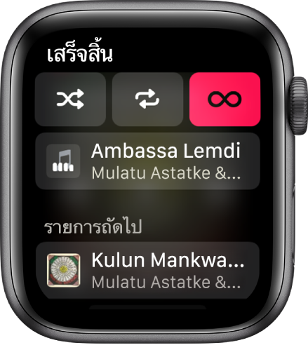 หน้าต่างแทร็คลิสต์ที่แสดงปุ่มสุ่ม ปุ่มวนซ้ำ และปุ่มเล่นอัตโนมัติที่ด้านบนสุด และแทร็คหนึ่งแทร็คด้านล่าง ใกล้กับด้านล่างสุด แทร็คอื่นแสดงอยู่ด้านล่างกำลังเล่นถัดไป