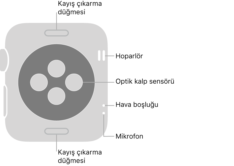 Üstte ve altta kayış çıkarma düğmeleri, ortada optik kalp sensörleri, yan tarafta da yukarıdan aşağıya hoparlör, hava boşluğu ve mikrofon ile Apple Watch Series 3’ün arkası.