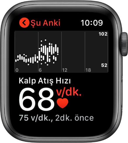 Sol altta güncel kalp atış hızınızı, onun altında daha küçük puntoda son değeri ve üstte kalıp atış hızınızın gün içerisindeki ayrıntılarını gösteren Kalp Atış Hızı uygulaması ekranı.