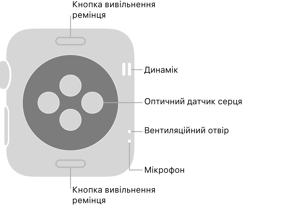 Задня панель Apple Watch Series 3 із кнопками вивільнення ремінця вгорі та внизу, оптичними датчиками серця посередині, а також динаміком, вентиляційним отвором та мікрофоном у порядку згори донизу біля бічної панелі.