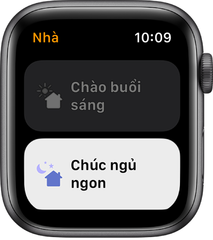 Ứng dụng Nhà trên Apple Watch đang hiển thị hai cảnh – Chào buổi sáng và Chào buổi tối. Chào buổi tối được tô sáng.