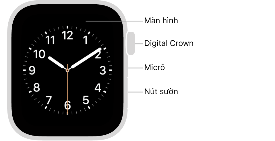 Mặt trước của Apple Watch Series 6, với màn hình đang hiển thị mặt đồng hồ và Digital Crown, micrô và nút sườn từ trên xuống dưới trên sườn của đồng hồ.