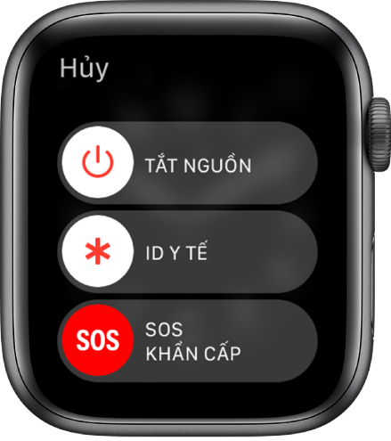 Màn hình Apple Watch đang hiển thị ba thanh trượt: Tắt nguồn, ID y tế và SOS khẩn cấp. Kéo thanh trượt Tắt nguồn để tắt Apple Watch.