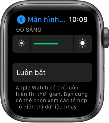 Cài đặt Độ sáng trên Apple Watch, với thanh trượt Độ sáng ở trên cùng và nút Luôn bật ở bên dưới.