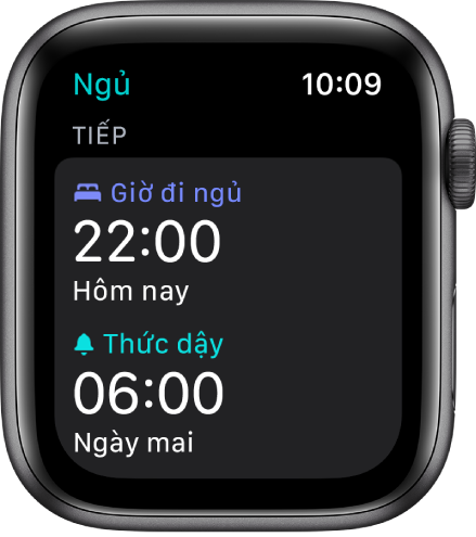 Màn hình Ngủ trên Apple Watch đang hiển thị lịch trình ngủ của buổi tối. Giờ đi ngủ được đặt thành 10 giờ đêm và giờ Thức dậy được đặt thành 6 giờ sáng.