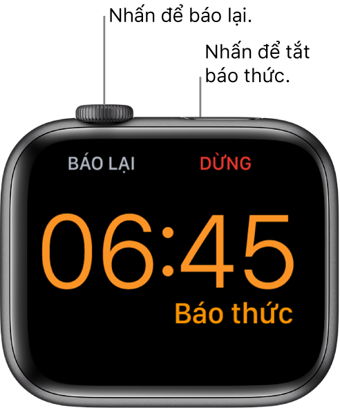 Một Apple Watch được đặt nghiêng, với màn hình đang hiển thị một báo thức đã phát. Bên dưới Digital Crown là từ “Báo lại”. Từ “Dừng” ở bên dưới nút sườn.