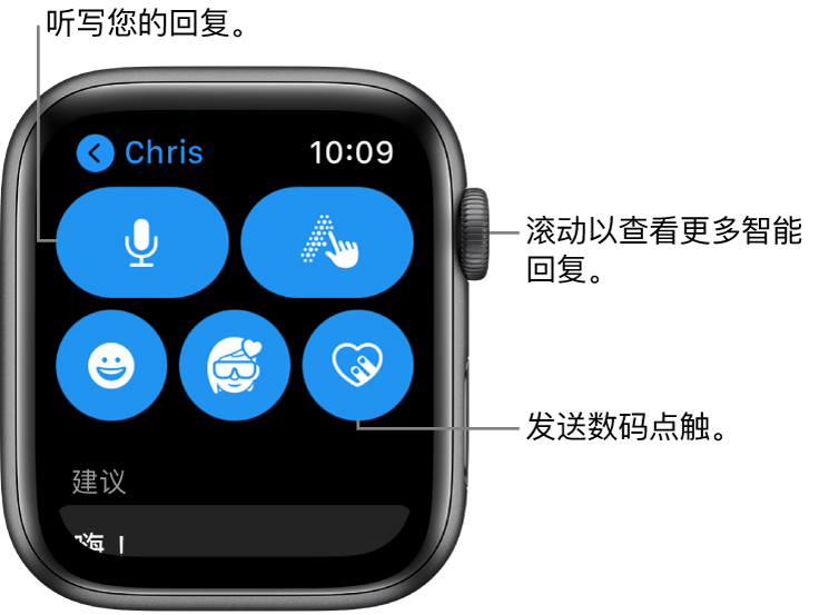 回复屏幕显示“听写”、“随手写”、“表情符号”、“数码点触”、Apple Pay 和“拟我表情”按钮。智能回复在下方。旋转数码表冠来查看更多智能回复。