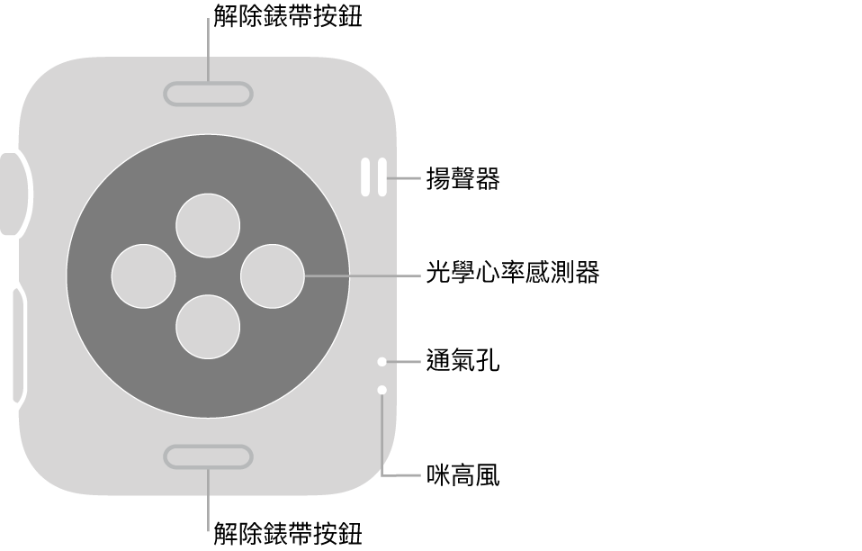 Apple Watch Series 3 的背面，在頂部和底部的解除錶帶按鈕，中間的光學心率感測器，以及在靠近側邊從上到下的喇叭、通氣孔和咪高風。