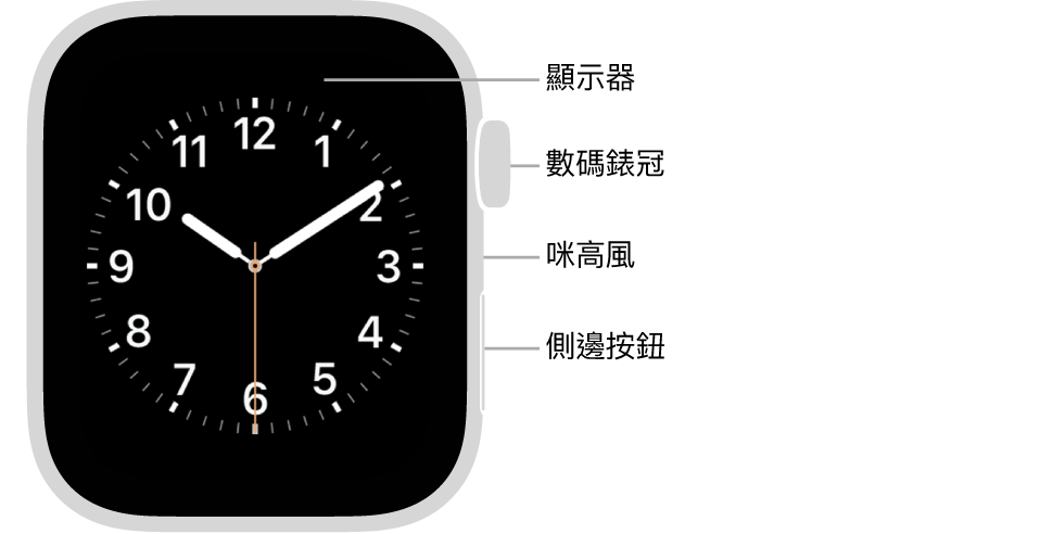 Apple Watch Series 6 的正面，螢幕正在顯示錶面，以及數碼錶冠、咪高風，和在手錶側邊從上到下的側邊按鈕。