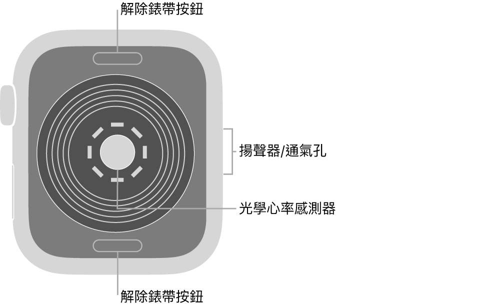 Apple Watch SE 的背面，在頂部和底部的解除錶帶按鈕，中間的光學心率感測器，以及側邊的喇叭/通氣孔。