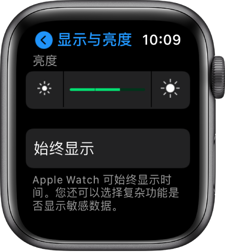 Apple Watch 上的“亮度”设置，顶部是“亮度”滑块，下方是“始终显示”按钮。