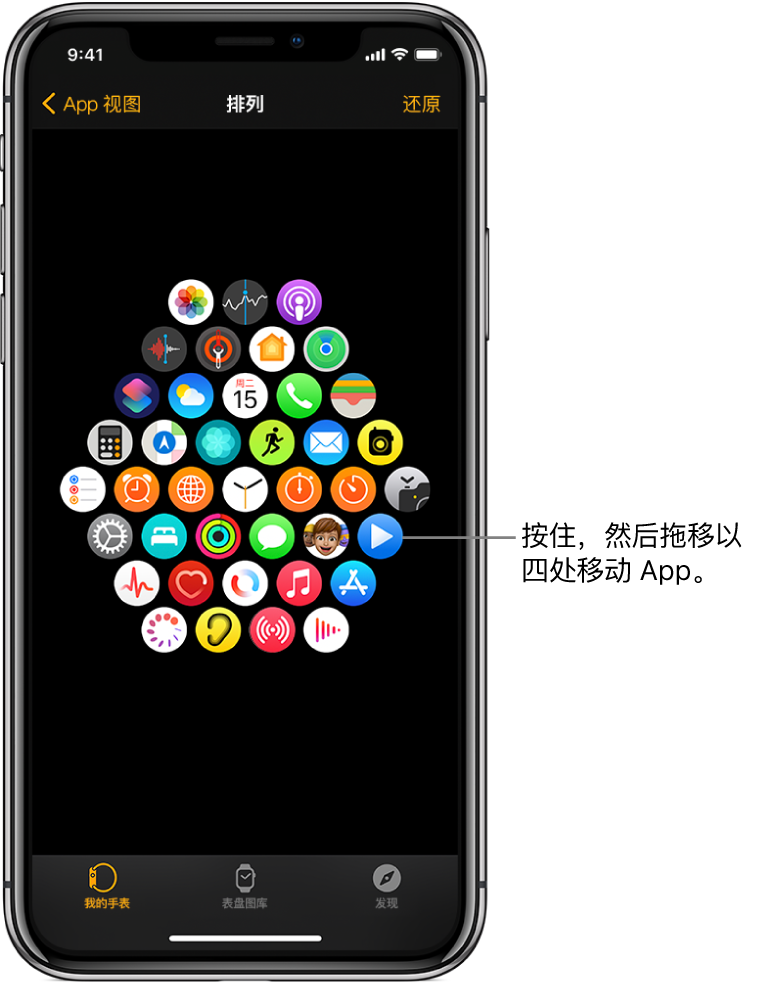 Apple Watch App 中的“排列”屏幕，按网格显示图标。