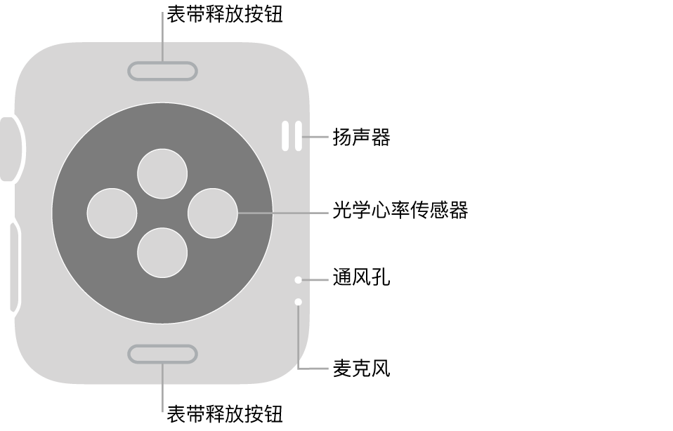 Apple Watch Series 3 的背面，顶部和底部是表带释放按钮，中间是光学心率传感器，侧边附近从上到下依次是扬声器、通风孔和麦克风。