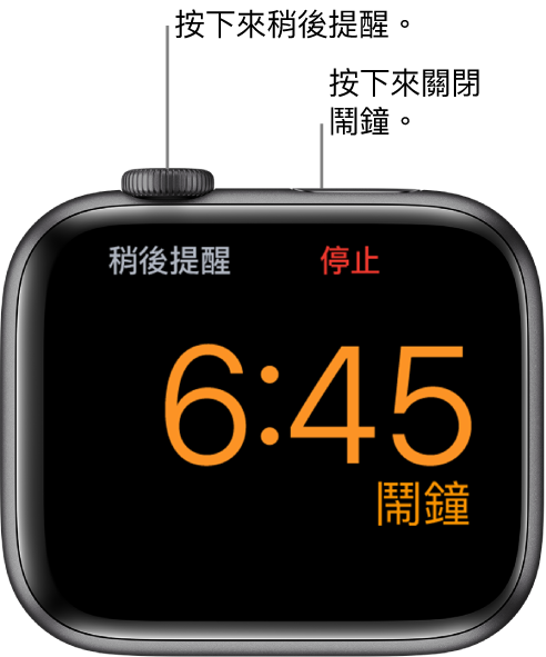 側放的 Apple Watch，畫面顯示已停止的鬧鐘。數位錶冠下方是「稍後提醒」字樣。「停止」字樣位於側邊按鈕下方。
