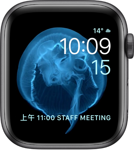 「動態」錶面顯示水母。您可以選擇要讓哪些物件動態顯示並加入一些複雜功能。