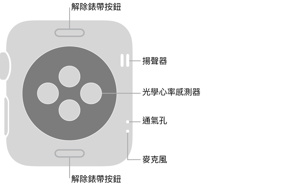 Apple Watch Series 3 的背面，頂端和底部為解除錶帶按鈕，中央為光學心率感測器，而側邊附近由上到下為揚聲器、通氣孔和麥克風。