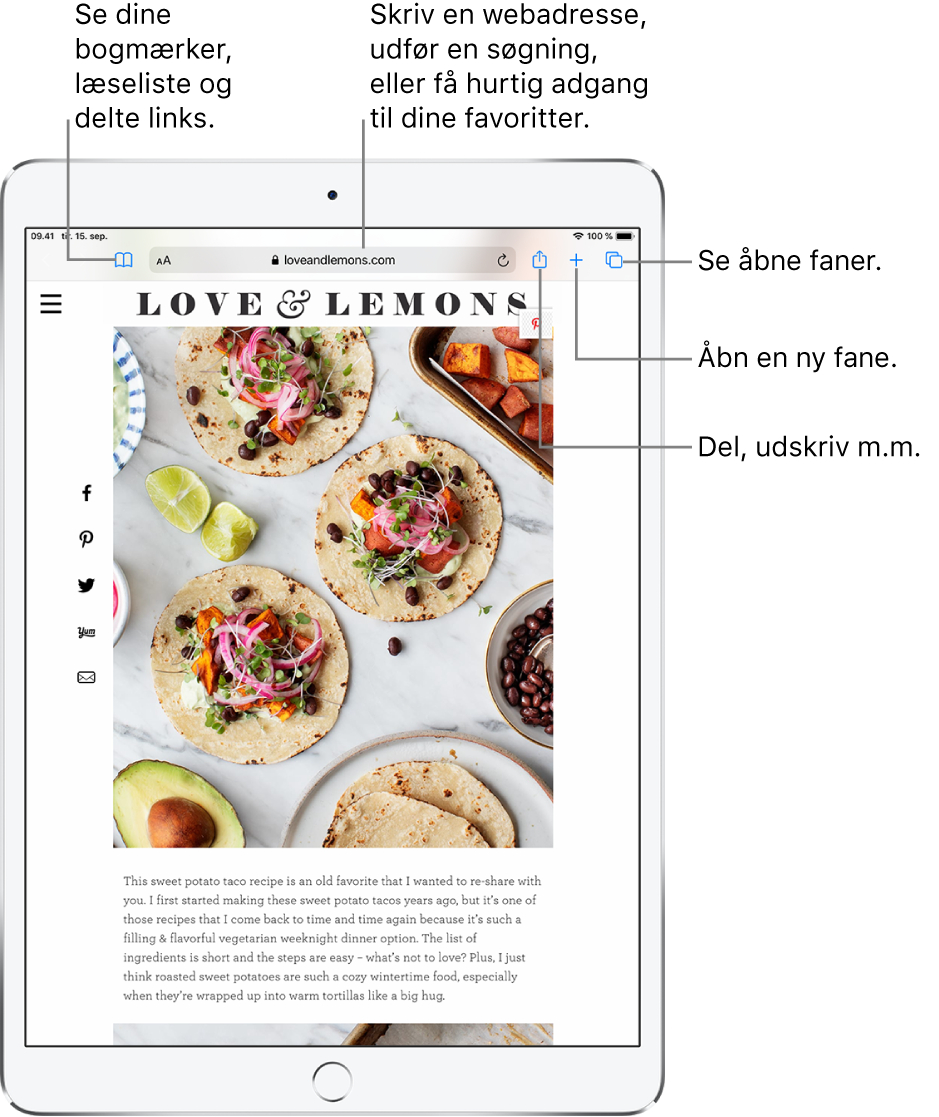 En åben webside i Safari med disse betjeningsmuligheder øverst fra venstre mod højre: Knapperne Tilbage, Frem og Bogmærker, adressefeltet, knapperne Del, Ny fane og Sider.